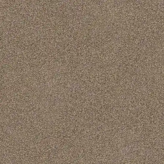 Triexta by Redbook Mountain Chalet Triexta Carpet